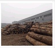 供應2012年【木材批發價格-木材銷售】無錫富萬建材 宜興木材_食品、飲料_世界工廠網中國產品信息庫